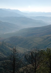 The view from God's Window: timber plantations instead of grasslands.