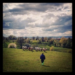 - Sänks grundvattnet får jag inget vatten till djuren. Kanske dags att lägga ned redan nu, säger bonden Anders Lybäck som är granne till den planerade gruvan.