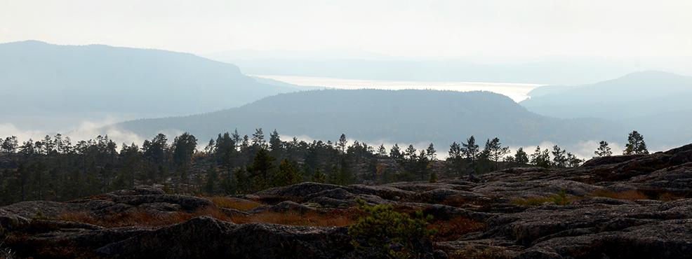 utsikt_hoga_kusten_986x370_1